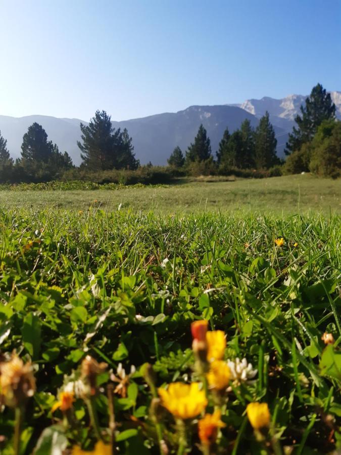 Green Cottage Blidinje المظهر الخارجي الصورة